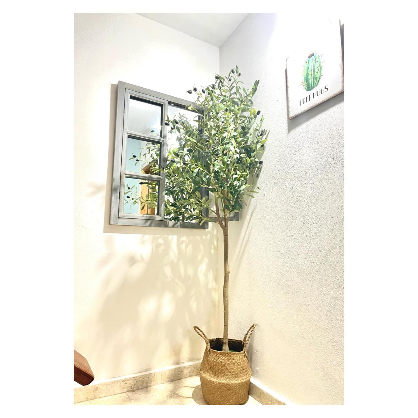 Pontevedra Apartments - Peregrina Family Suite 외부 사진