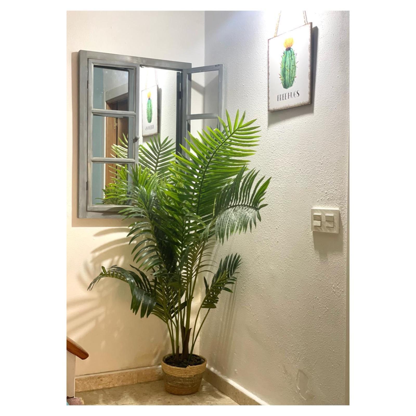 Pontevedra Apartments - Peregrina Family Suite 외부 사진